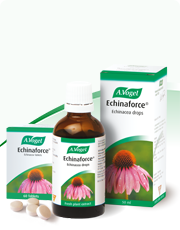 A.Vogel Echinaforce